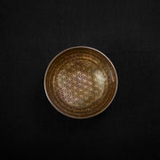 7.3 inches Surprise Design