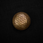 7.3 inches Surprise Design