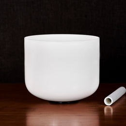 Ultra-Light Premium Bowls | 6