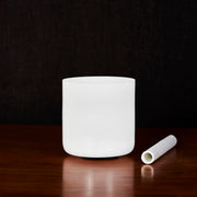 Ultra-Light Premium Bowls | 6