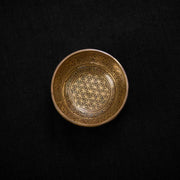 7.3 inches Surprise Design