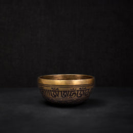 7.3 inches Surprise Design